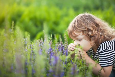 Giftige Pflanzen sind eine Gefahr für Kinder Giftige Pflanzen sind eine Gefahr für Kinder