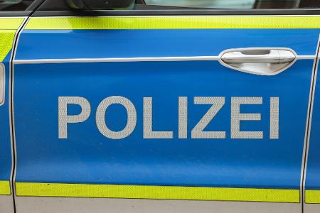 Großkatze im Süden Sachsen-Anhalts gesichtet Großkatze im Süden Sachsen-Anhalts gesichtet