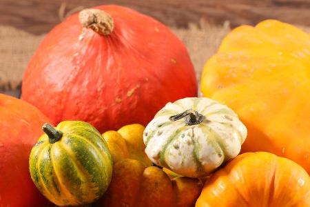 Kürbisse haben im Herbst Saison und landen bei vielen regelmäßig auf dem Tisch. Kürbisse haben im Herbst Saison und landen bei vielen regelmäßig auf dem Tisch.