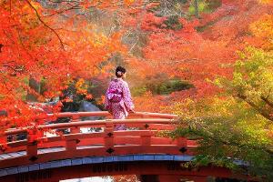 "Momijigari": Die Japaner sehen jetzt rot und feiern den Herbst