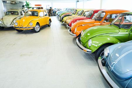 VW Sammlung Hermann Walter VW Sammlung Hermann Walter