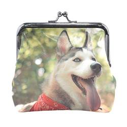 AJINGA Husky Hund Niedliche Tiere Lustige Münze Geldbörse Kürbis Leder Münzbörse Snap Verschluss Clutch Bag, Mehrfarbig, Einheitsgröße von AJINGA