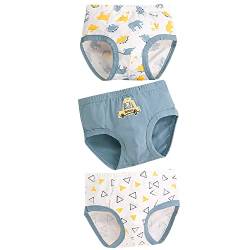 ANIMQUE Kinder Unterhosen Slips Jungen Baumwolle Cartoon Briefs für Elastizität Gemütlich Shorts 3er Pack SJ252, 120 von ANIMQUE