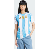 Adidas Argentina 24 Home - Damen Jerseys/replicas von Adidas