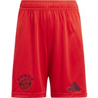 Shorts für Kinder – Heim Bayern Munich 2024/25 von Adidas