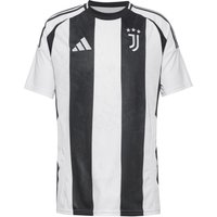 adidas Juventus Turin 24-25 Heim Teamtrikot Herren von Adidas