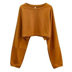 Amazhiyu Damen Sweatshirt, Crop Pullover Ohne Kapuze, Casual Basic Pulli Oversized, Rundhals Kurz Hoodie Langarmshirt Tops, Braun, L von Amazhiyu