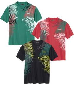 3er-Pack T-Shirts Palm Coast von Atlas For Men