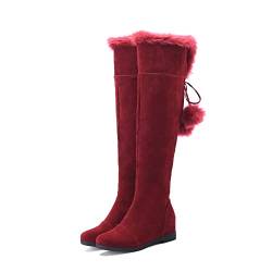 BGFCDFGV Women's Fashion Boots Comfortable Winter Boot Warm Fur Lined Boots,Rot,42 EU von BGFCDFGV