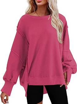 BLENCOT Damen Sweatshirts übergroße Fit Pullover Langarmshirt Rundhals Casual Oberteile Tops von BLENCOT