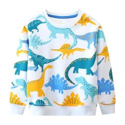 Baogaier Jungen Sweatshirts Langarm Pullover Kinder Weiß Dinosaurier Shirts Baumwolle Warm Winter Frühling Herbst Oberteile Sport T-Shirt Langarmshirt Activewear Tops Gr.98-104,4T von Baogaier