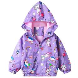 Baogaier Mädchen Jacke Kleinkind Übergangsjacke mit Weich Gefüttert Lila Pferd Cartoonmuster Aufdruck Outdoorjacke Winddicht mit Kapuzen Gr.92-98 Kleinkind zipper Softshelljacke,100 von Baogaier