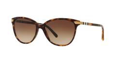 Sonnenbrillen  Burberry Be4216 col. 300213 Damen Cat eye Havana von Burberry