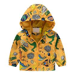 CSWH Unisex Kinder Jacke mit Kapuze Jungen/Mädchen Regenjacke Kinder Dünne Leichte Sommerjacke Softshelljacke übergangsjacke Regenmantel Regenbekleidung für Outdoor von CSWH