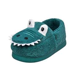 CUTeFiorino Winter warme Hausschuhe Plüsch süße Cartoon Dinosaurier Schlafzimmer Haus Innenschuhe Hausschuhe Offen Kinder Junge (Blue, 28 Little Child) von CUTeFiorino