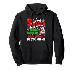 Before I Explain How Much You Know Xmas Cat Owner Lover Pullover Hoodie von Cat Christmas Costume