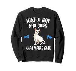 Nur ein Junge, der Khao Manee Cats liebt Sweatshirt von Cat Pets