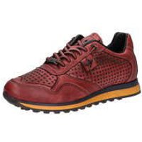 Cetti Sneaker Herren rot von Cetti