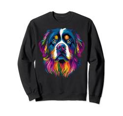 Buntes Berner Sennenhundeliebhaber, süßes Bernergesicht, Schwarz Sweatshirt von Colorful Dog Face