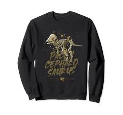 Pachycephalosaurus Skelett Paläontologe Fossil Dino-Liebhaber Sweatshirt von Dinosaurs Lovers Zajoo