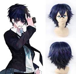 Wig for Black Bullet Satomi Rentaro Short Curly Thick Cosplay Wigs for Man Boys Anime Party Universal Synthetic Hair Blue Purple Mixed von EQWR