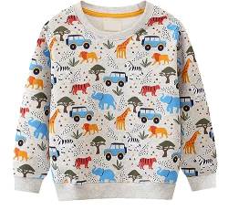 EULLA Kinder Jungen Sweatshirt Pullover Activewear Langarm Baumwolle Tier Herbst Winter Oberteile 2 Jahre alt 8# Grau Tier DE 92 von EULLA