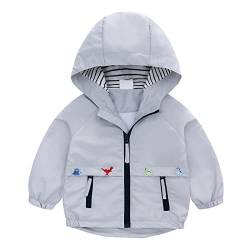 Famuka Kinder Jacke Baby Junge Übergangsjacke Kleinkinder Sommerjacke mit Kapuze (Grau, 24M) von Famuka