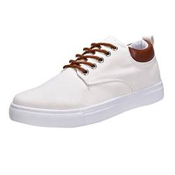 Herren Schuhe Schwarz 46 Männer Low Top Canvas Wanderschuhe schnüren Mode Turnschuhe Freizeitschuhe Herren Winter Schuhe 43 (White, 41) von Generic