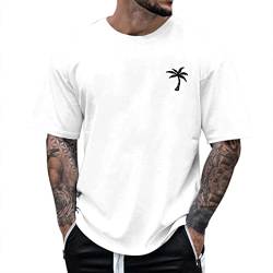 Saohuo T-Shirts für Herren Rundhals Sommer Shirts Oversized Tshirts Männer Kurzarm T Shirt Sportshirt Baumwolle Basic Shirts Lose Sommer Oberteile Kurzarm Cotton Tee Streetwear von Generic