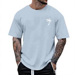 Tshirt Herren Sommer Printed Oberteile Klassisch Tee Baumwolle Regular Fit T-Shirt Oversize Kurzarm Sommer Rundhals Basic Tee Männer T-Shirt Loose Fit Tops Casual Sport Trainning (XG-Light Blue, XL) von Glücksvogel