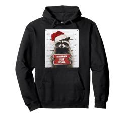 Waschbär Weihnachten Dear Santa I Can Explain Funny Xmas Pullover Hoodie von Graphic 365