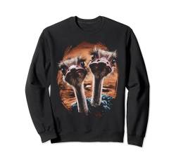 Straußenvogel-Liebhaber, lustiges Zoo-Tier-Vogel-Geschenk Sweatshirt von Graphic Tees Men Women Boys Girls