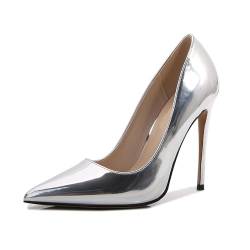 Pumps für Damen, 4,72 Zoll hoher Absatz für Frauen, klassische Schuhe mit spitzer Zehenpartie und Stilettoabsatz, sexy, elegante Pumps für Büro, Partys und Events,Silber,39 EU von HIKKWXVN