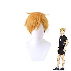 WHBHD Anime Coer Wig. Anime Haikyuu ! Miya ATSUMU Kurze Perücke Cosplay Kostüm Hitzebeständige synthetische Haare Haikiyu Männer Perücken von HOWGARI