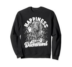 Dackel Rauhaardackel Sweatshirt von Hundebesitzer Hund Hundehalter Hunde Hundesport