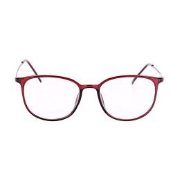 Brille Metallrahmen Brillengestelle Ohne Sehstärke Runde Pantobrille Streberbrille Fensterglas Nerdbrille Damen Herren Ebenenspiegel Brillefassung mit Nasenpad Winddicht Leicht Vintage Transparent von IBLUELOVER