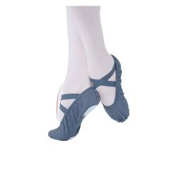 Ballett Schuhe Frauen Ballett Schuhe Mädchen Professionelle Ballett Hausschuhe Split Sohle Tanz Schuhe Frauen Tanz Training Schuhe(Blue,40) von JMORCO