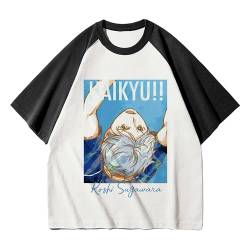 Jilijia Haikyuu Anime T-Shirt Karasuno High Shoyo Hinata/Tobio Kageyama 3D Cartoon Kurzarm T Anime Spiel Lose Kurzarm Top, Sugawara Koushi, S von Jilijia