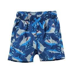 LACOFIA Kinder Badeshorts Jungen Casual Elastische Taille Badehose Kleinkind Strand Schwimmen Shorts Marineblau 5-6 Jahre 110/116 von LACOFIA