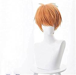 LINLINCD-Wig Anime Cosplay Weihnachts-Anime-Cosplay-Perücke for Obstkorb Soma Souma Kyo Mützen-Haarteile Halloween Kostümparty Karneval Nachtleben Konzerte Hochzeiten Kostümzubehör von LINLINCD