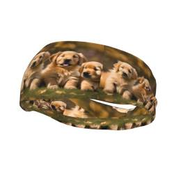 Mqgmz Golden Retriever Schweißband für Erwachsene, leicht, atmungsaktiv, mit Aufdruck für Hunde, Welpen, Haustiere, Unisex, für Erwachsene von MQGMZ