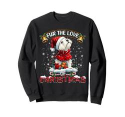 West Highland White Terrier Christmas Decorations Dog Lover Sweatshirt von Merry Christmas Lights Men Women Kids Xmas Pajama