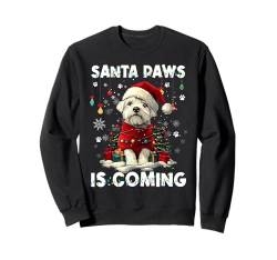 West Highland White Terrier Christmas Decorations Dog Lover Sweatshirt von Merry Christmas Lights Men Women Kids Xmas Pajama