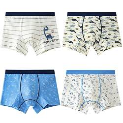 Natashas Jungen Boxershorts Unterhosen Baumwolle Kinder Boxer Unterwäsche 2-13 Jahre Dinosaurier (4er Pack) von Natashas