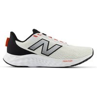 NEW BALANCE Herren Laufschuhe Fresh Foam Arishi v4 normal von New Balance