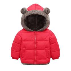 Bärenohren Jacke Kinder - Entzückender Bärenmantel,Bequeme Winterkleidung, weicher Jungenmantel für Kinder, Winter, kaltes Wetter im von 1–4 Jahren von Niktule