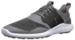 PUMA Herren Ignite Nxt Lace Golfschuh, Quiet Shade Team Gold Schwarz, 39 EU von pumagolf