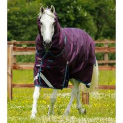 Outdoor-Decke mit Halsteil Premier Equine Titan 200 g von Premier Equine