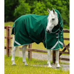 Wasserdichte Outdoor-Decke mit Halsteil Premier Equine Buster 200 g von Premier Equine