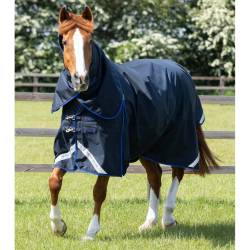 Wasserdichte Outdoor-Decke mit Halsteil Premier Equine Buster 40g von Premier Equine